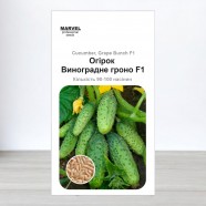 Насіння огірка бджолозапильний Виноградна гроно F1, 100 насінин